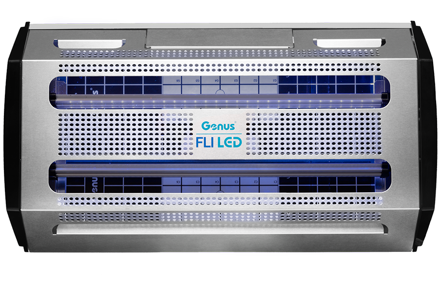 Genus FlI Led